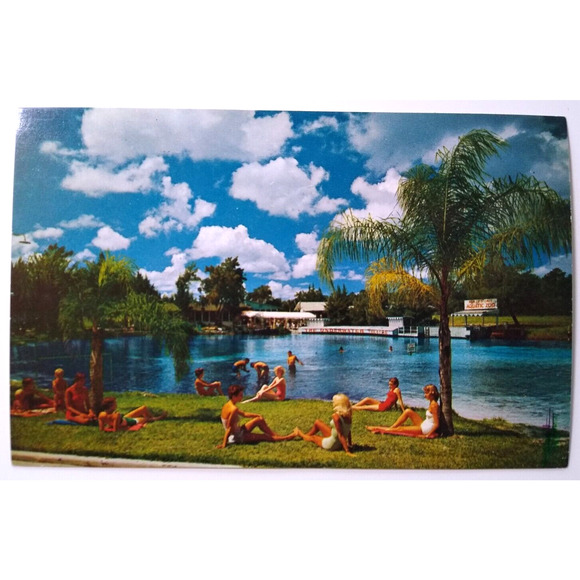 Weeki Wachee Spring Florida Postcard Swimsuit Ladies Underwater Theater Chrome - Picture 2 of 3